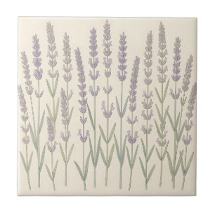 Elegantes hastes de lavanda suave Botânica Roxa