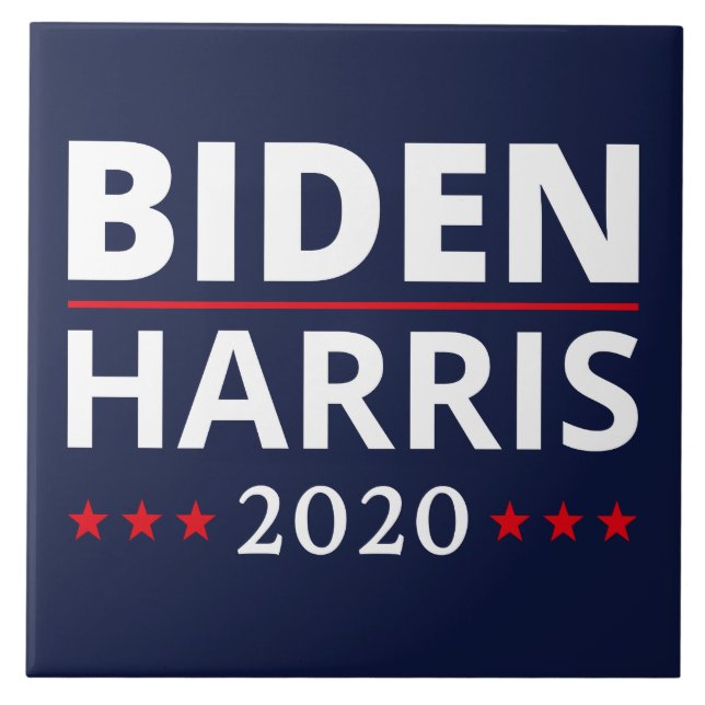 Eleições 2020 - Biden Harris II (Frente)