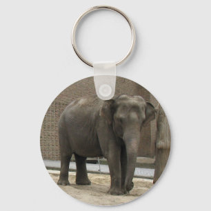 ELEPHANT chaveiro