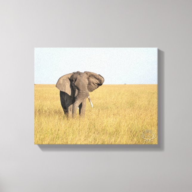 Elephant in Natural Setting Wrapped Canvas Print (Frente)