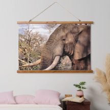 Elephant Lovers Art