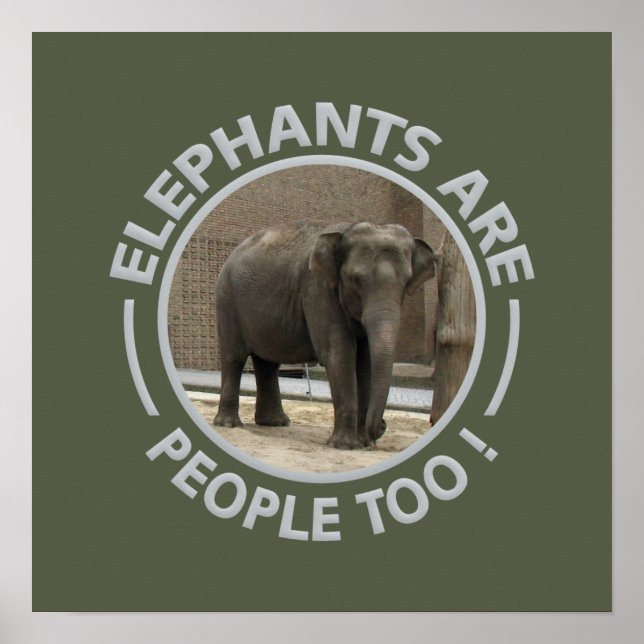 ELEPHANTS poster (Frente)