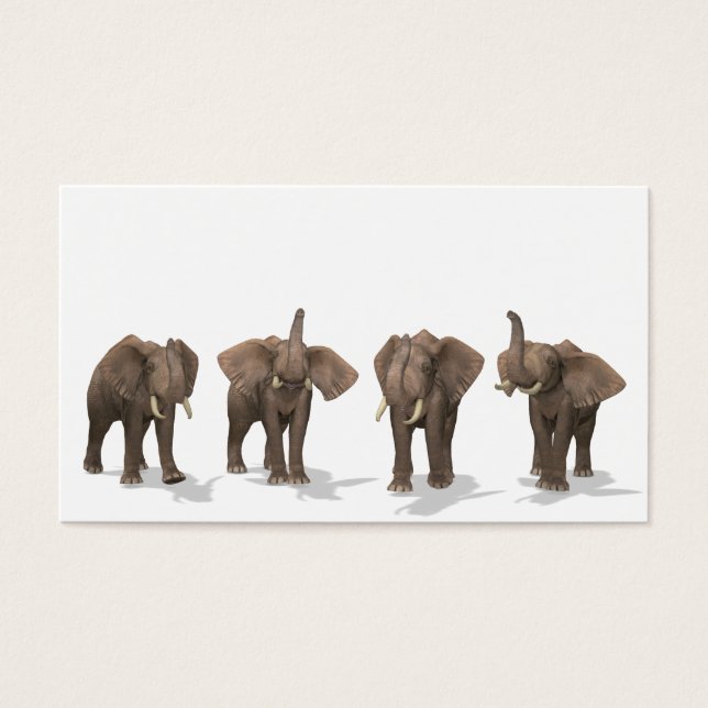 Elephants Quartet (Frente)