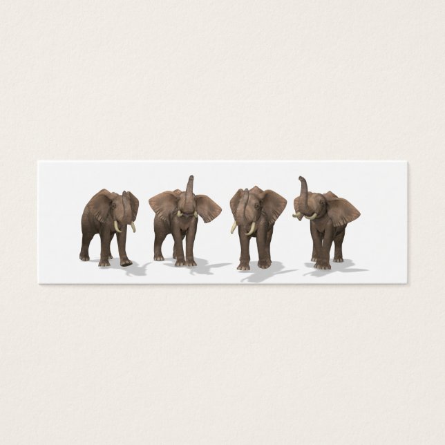 Elephants Quartet (Frente)