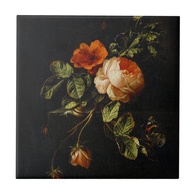 Elias van den Broeck, vida com Rosas  (Frente)