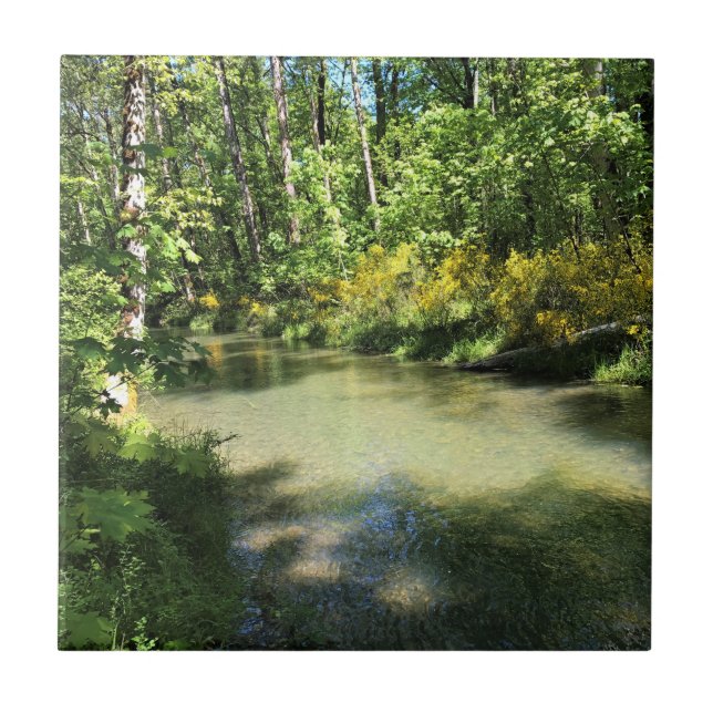 Elijah Bristow State Park, Dexter, Oregon (Frente)