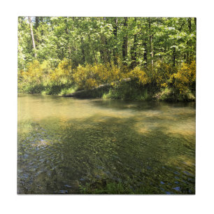 Elijah Bristow State Park, Dexter, Oregon