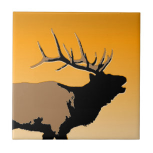 Elk Bugling em Sunset - Arte original sobre a vida