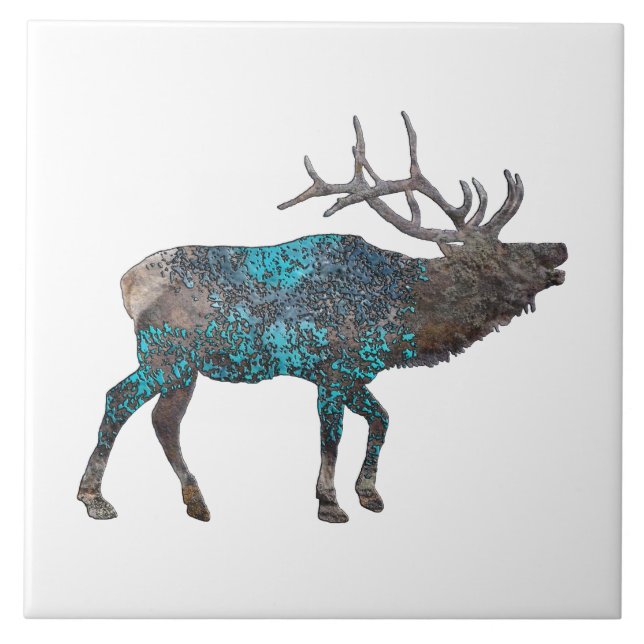 ELK FALANDO CANYONS, NOVO MÉXICO (Frente)