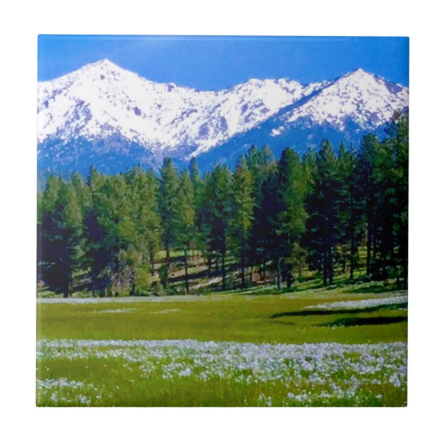 Elk Horn Iris (Frente)