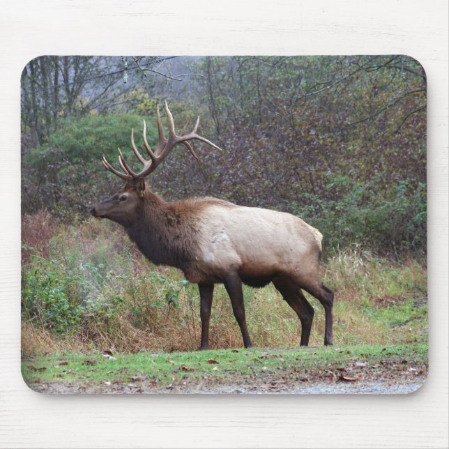 Elk Mousepad (Frente)