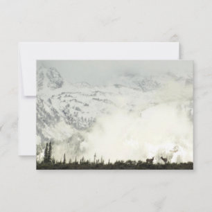 Elk no Grand Teton National Park Fotografia
