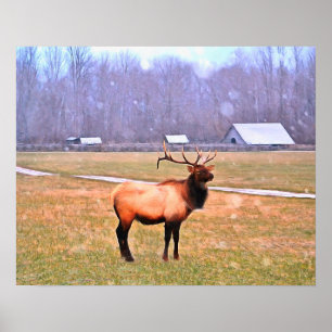 Elk no Poster das Montanhas do Enfumaçado do Exce