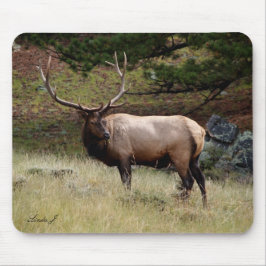 Elk no Selvagem Mousepad