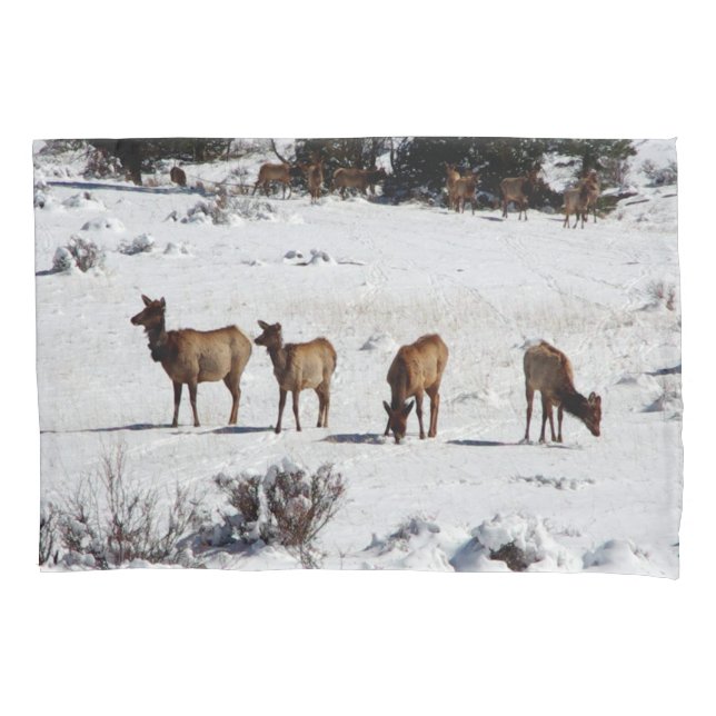 Elk no travesseiro de neve (Frente)