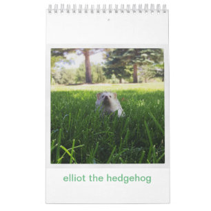elliot o calendário do ouriço