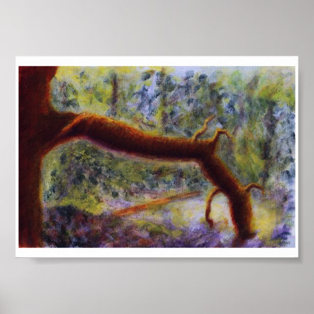 Elora Gorge, Poster (Frente)