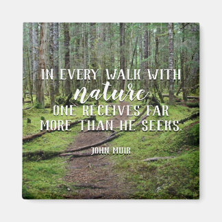 Em Cada Caminho Com O Imã Natureza