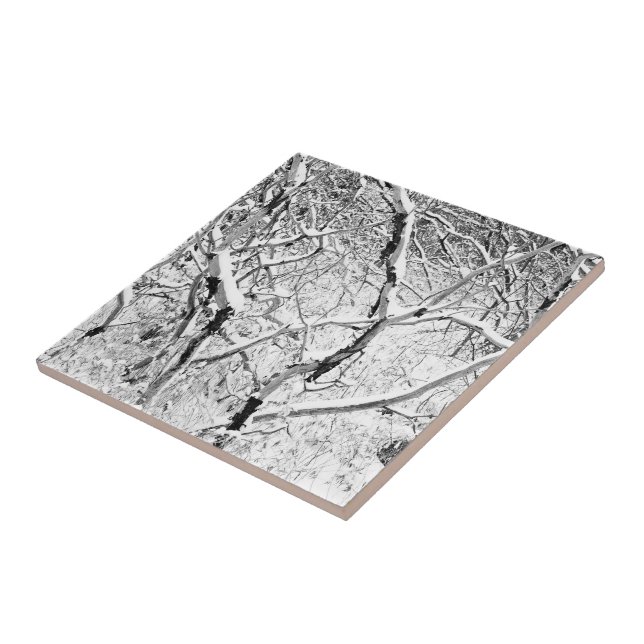 em casa na neve (Lateral)