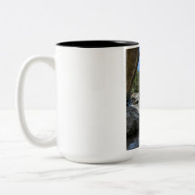 Bela Caneca de Café de Duas Cores com Paisagem da