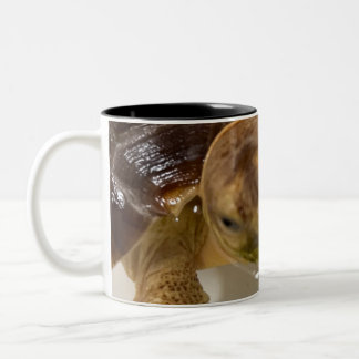Em Dois Tons Caneca de café