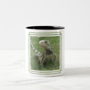 Em Dois Tons Caneca de café da iguana