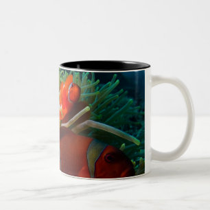Em Dois Tons Caneca de café de Anemonefish