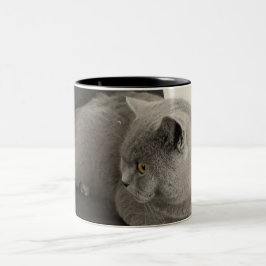 Em Dois Tons caneca de café de gato-do-escocês