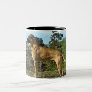 Em Dois Tons Caneca de café de great dane