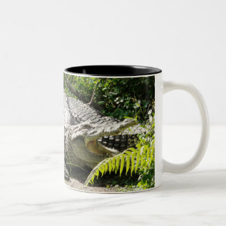 Em Dois Tons Caneca de café do crocodilo