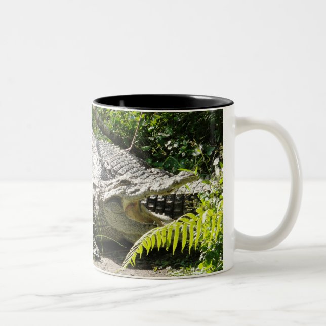 Em Dois Tons Caneca de café do crocodilo (Direita)