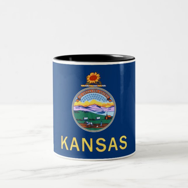 Em Dois Tons Caneca de café do Dois-Tom da bandeira do estado (Centro)