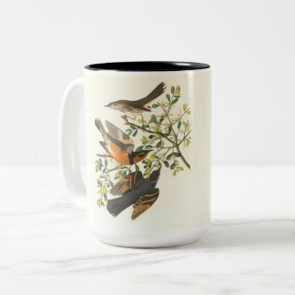 Em Dois Tons Caneca de Café Pássaro & Flor Silvestre Vintage |