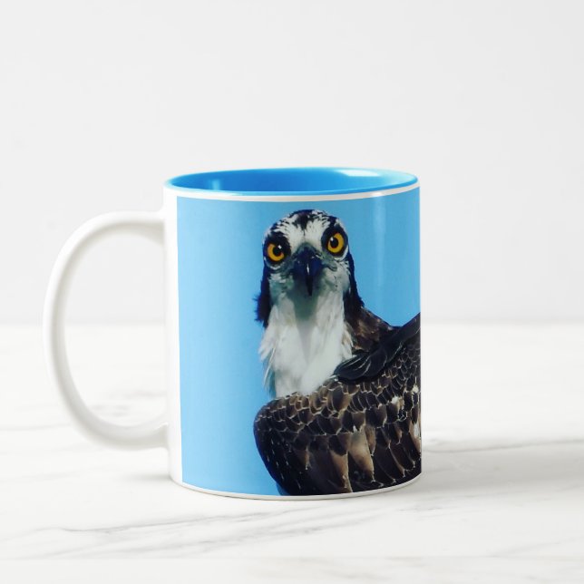 Em Dois Tons Caneca de Café / Taça de Birder - Osprey - Pássaro (Esquerda)