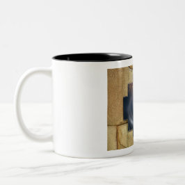 Em Dois Tons CONDOR - Caneca de Café