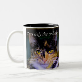 Em Dois Tons Os "gatos provocam" a caneca de café ordinária
