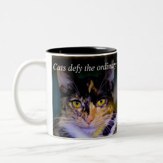 Em Dois Tons Os "gatos provocam" a caneca de café ordinária