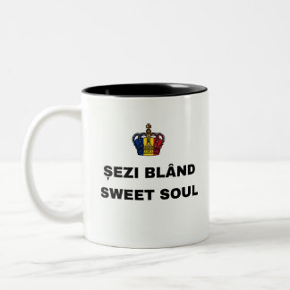 EM DOIS TONS SENTE-SE BEM, ALMA DOCE CANECA DE CAFÉ DE DUAS COR