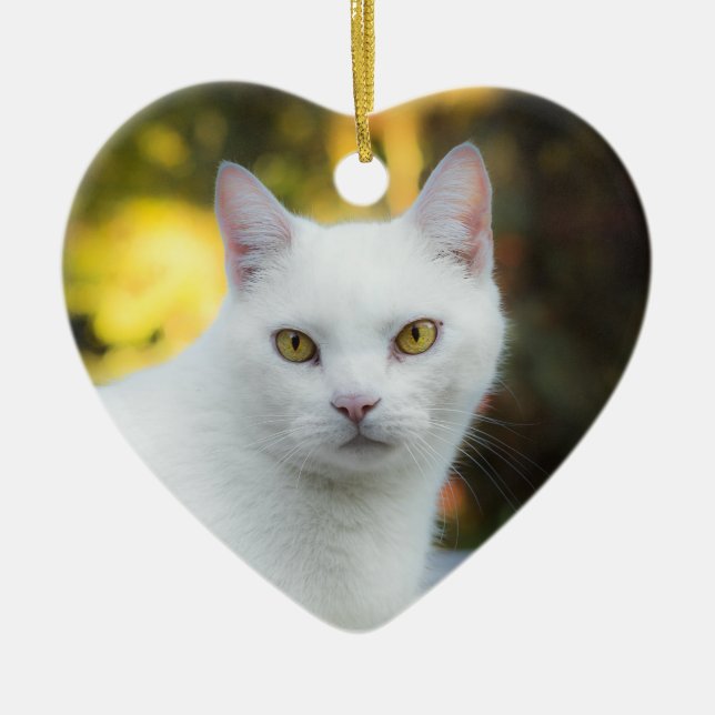 Em Memória Do Ornamento Pet Memorial Do Arco-Íris (Frente)