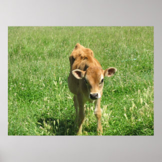 Em seu campo Foto Impressão