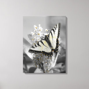 Em Tela A borboleta de Swallowtail esticou o impressão da