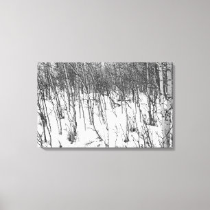 Em Tela Álamos tremedores no impressão da arte das canva
