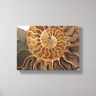 Em Tela Ammonite Art Impressão