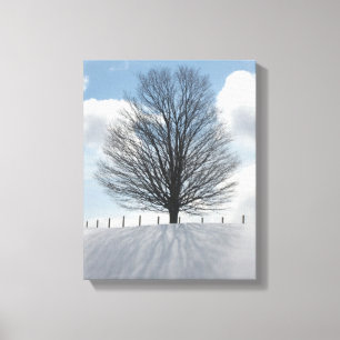 Em Tela Árvore do inverno no impressão da arte das canva