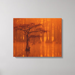 Em Tela Árvores de Impressão   Parque Estadual George Smit