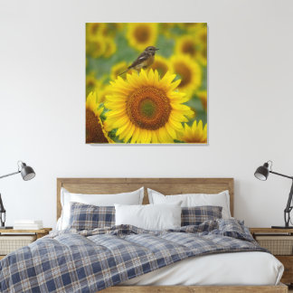 Em Tela Ave no girassol - Impressão de fotografia natural