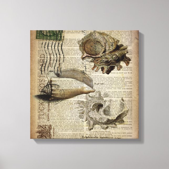 Em Tela beachtionary impressão moderna vintage seashell (Frente)