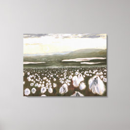 Em Tela Campos do Algodão Ártico: Padrão de Impressão de T