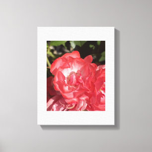 Em Tela cinza por um dia Impressão Floral Rosa