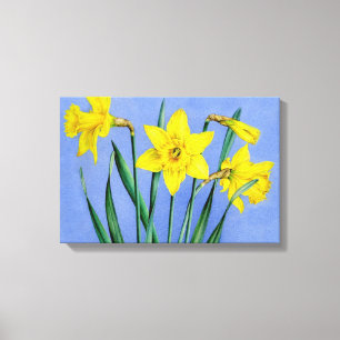 Em Tela Daffodilos amarelos na impressão de plástico azul